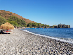 Red Bend beach'in fotoğrafı #43 ile birlikte