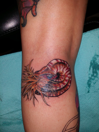 Explore lion sleeve tattoo ideas, creative tattoo ideas in Foley, available at Black Sheep Custom Tattoos and Piercings