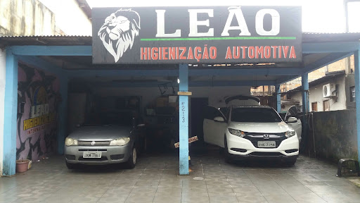 Leão -higienização e limpeza interna automotiva.
