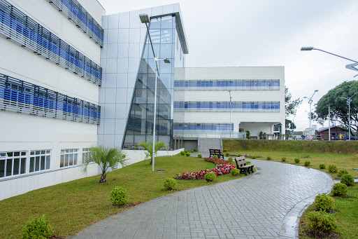 Faculdade de letras Curitiba