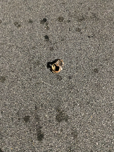 Department Store «Walmart Supercenter», reviews and photos, 400 Shallowford Rd, Gainesville, GA 30504, USA