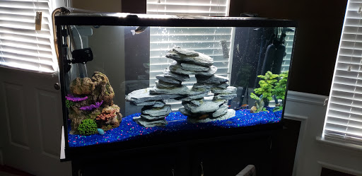 Pet Supply Store «PetSmart», reviews and photos, 101 Pavilion Pkwy, Fayetteville, GA 30214, USA