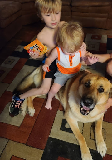 Pet Supply Store «PetSmart», reviews and photos, 145 Witchwood Dr, North Wales, PA 19454, USA