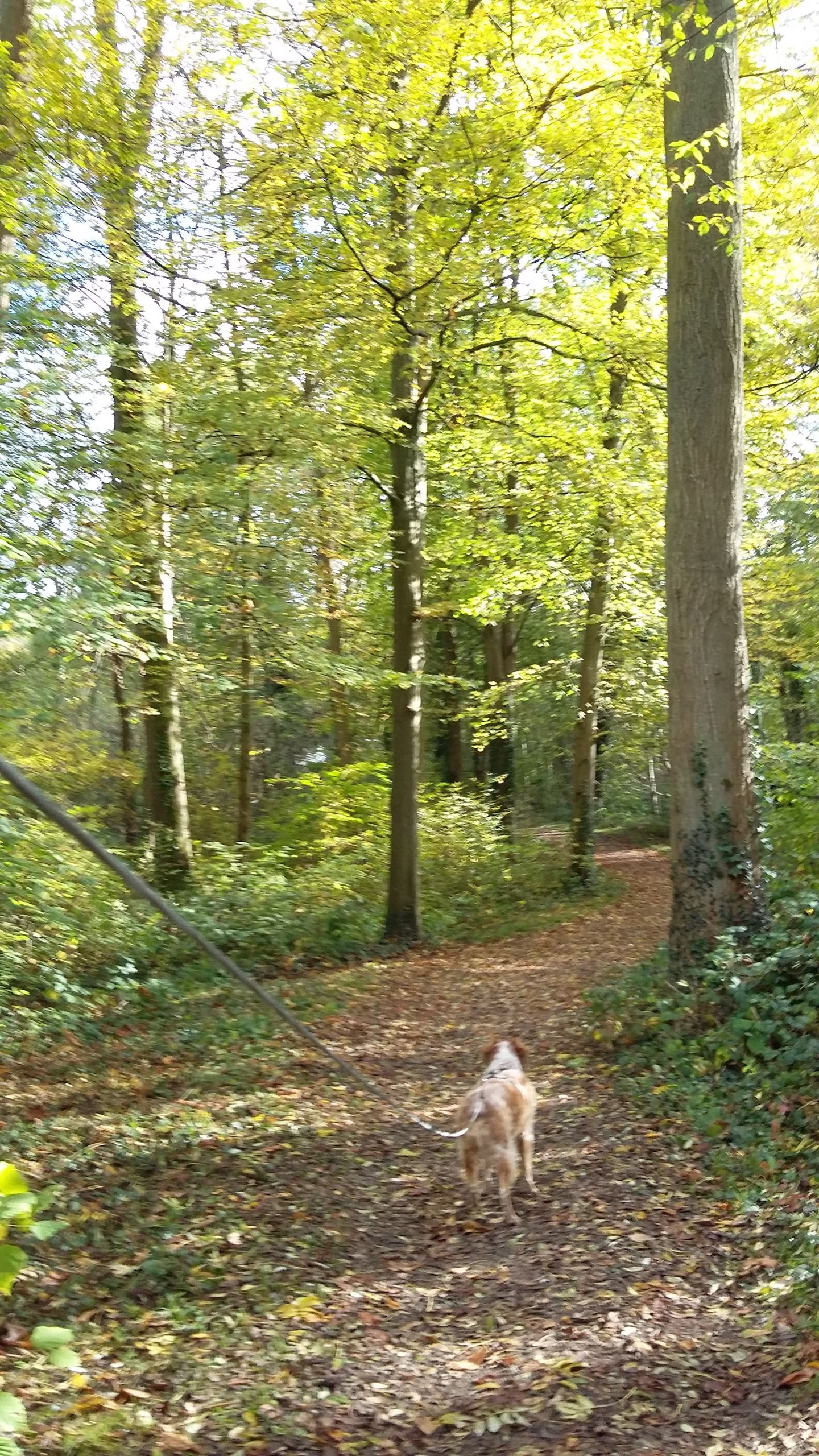 Photo n° 1 de l'avis de Valerie.i fait le 05/11/2017 à 12:21