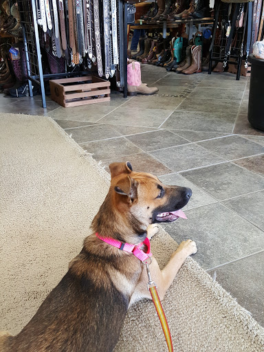 Boot Store «Discount Boots & Tack», reviews and photos, 1931 N Ewing St, Seymour, IN 47274, USA