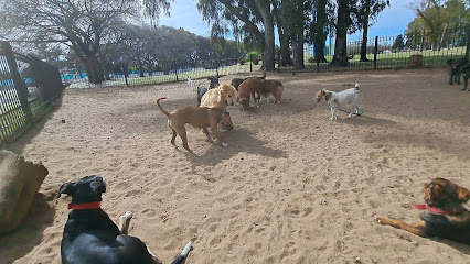 Canil Parque Paseo de las Américas