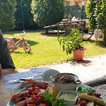 Photo n°1 de l'avis de Serena.e fait le 14/08/2020 à 12:33 sur le  Bar Trattoria Dal Mago Di Erti R.E S.S.N.C. à San Giovanni in Croce