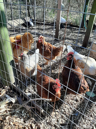 Produce Market «Highland Orchards Farm Market», reviews and photos, 1431 Foulk Rd, Wilmington, DE 19803, USA