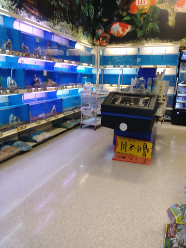 Pet Supply Store «PetSmart», reviews and photos, 150 Lincoln Square, Arlington, TX 76011, USA