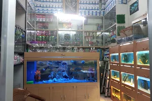 Lokesh Fish Aquarium image