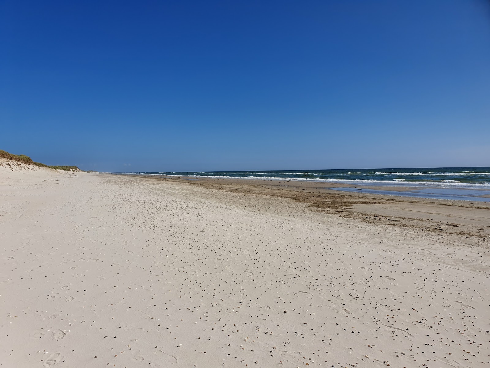 Skallingevej Beach'in fotoğrafı vahşi alan