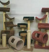 Condos & Trees LLC - Photo 8 - Car repair in Northwood, OH, Toledo