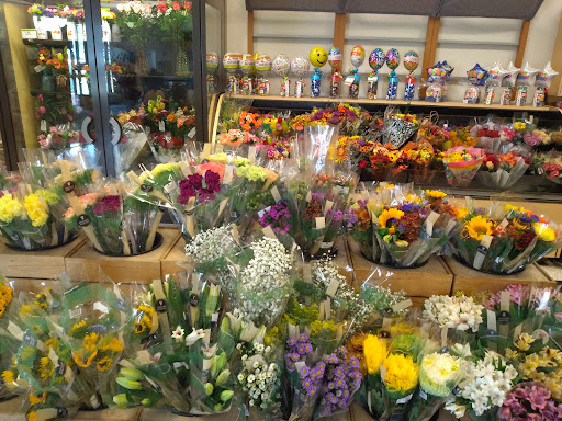 Supermarket «Publix Super Market at Westgate Plaza», reviews and photos, 12024 Anderson Rd, Tampa, FL 33625, USA