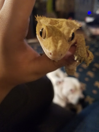 Pet Supply Store «Petco Animal Supplies», reviews and photos, 1237 Flammang Dr, Waterloo, IA 50702, USA