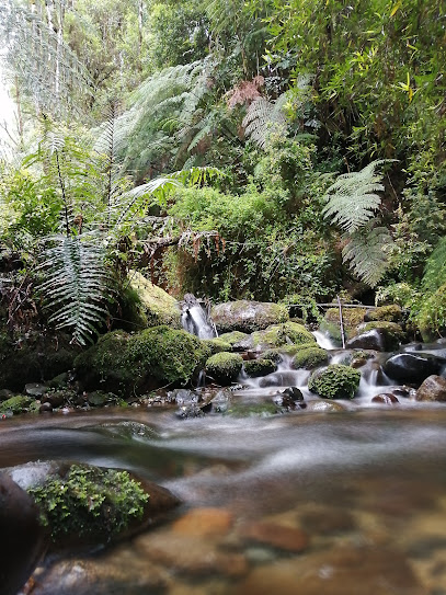 Bioparque Austral