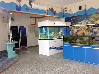 Pusat Ikan Hiasan Port Dickson