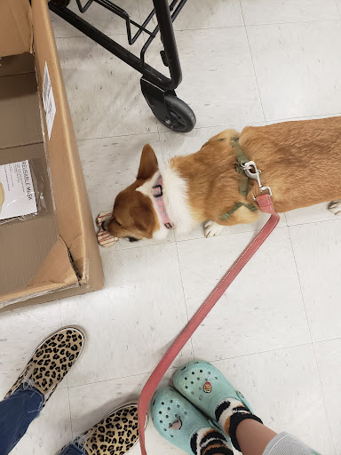 Pet Supply Store «Petco Animal Supplies», reviews and photos, 4491 Kirkwood Hwy, Wilmington, DE 19808, USA