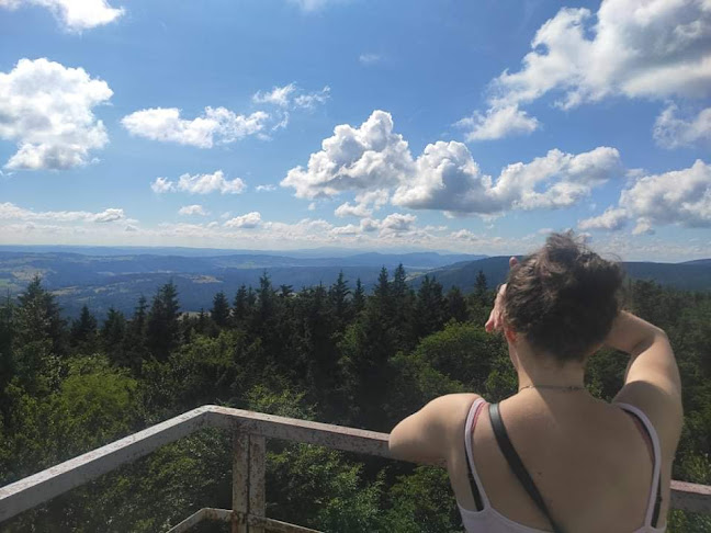 Wieża widokowa na Kalenicy - Pieszyce