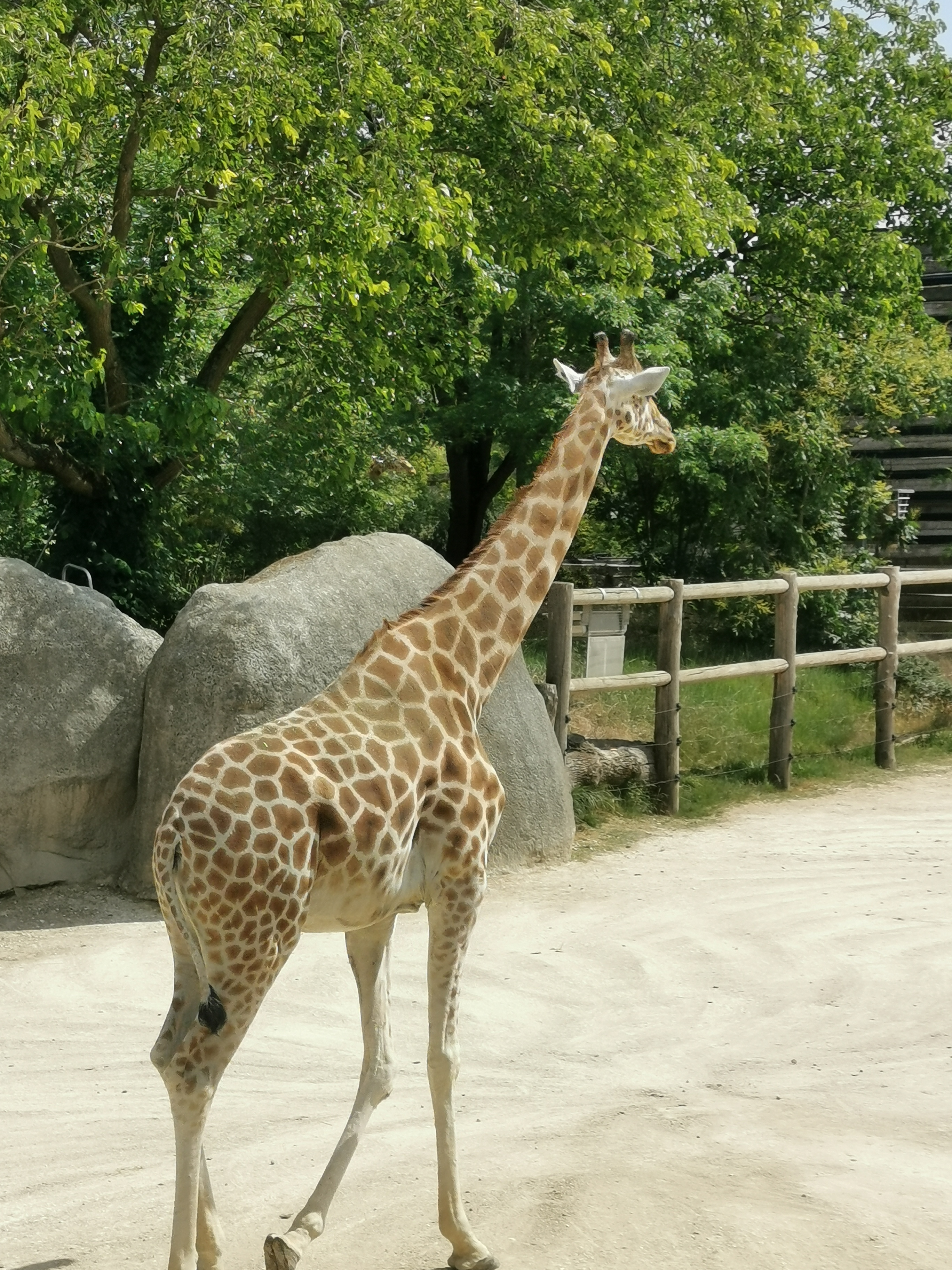 Photo n° 4 de l'avis de N1n1ce. fait le 27/04/2018 à 22:54