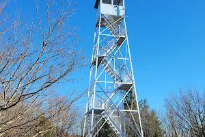 Mount Arab Fire Tower image