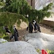 Penguin House