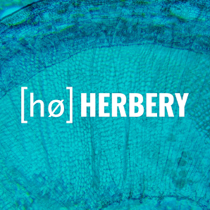 herbery.de - Online-Apotheke für medizinisches Cannabis Breite Str. 13, 14199 Berlin, Deutschland