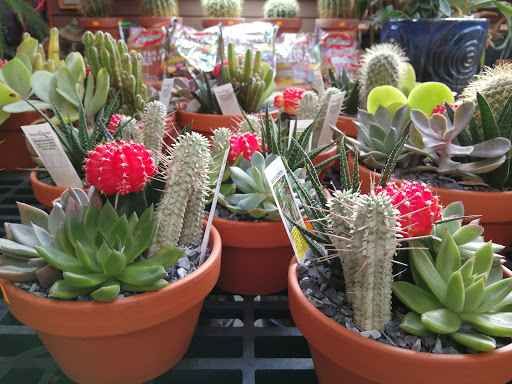 Florist «Metropolitan Plant & Flower Exchange Inc.», reviews and photos, 2125 Fletcher Ave, Fort Lee, NJ 07024, USA