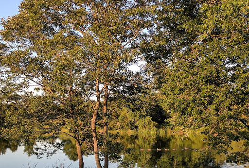 Public Golf Course «Poolesville Golf Course», reviews and photos, 16601 W Willard Rd, Poolesville, MD 20837, USA