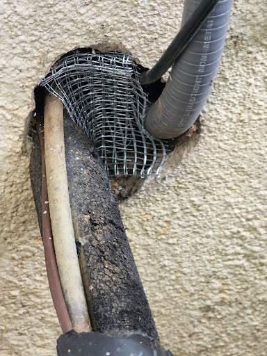 Pest Control Service «Attic Kings», reviews and photos