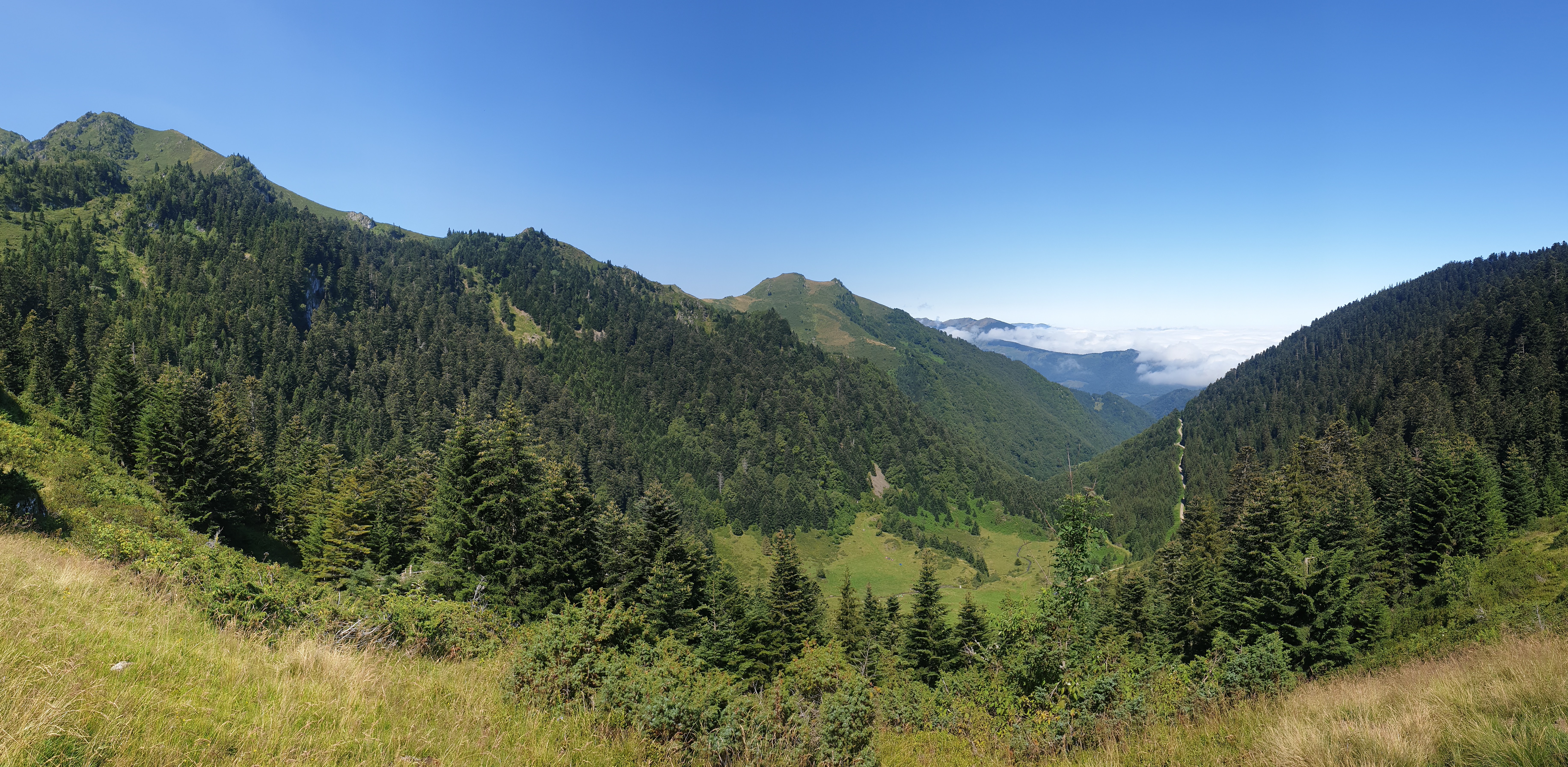 Photo n° 3 de l'avis de Charlène.l fait le 20/08/2020 à 15:27