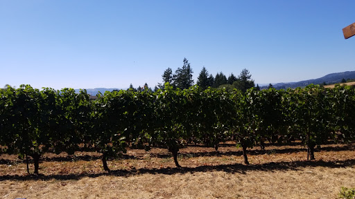 Winery «Archery Summit Winery», reviews and photos, 18599 NE Archery Summit Rd, Dayton, OR 97114, USA