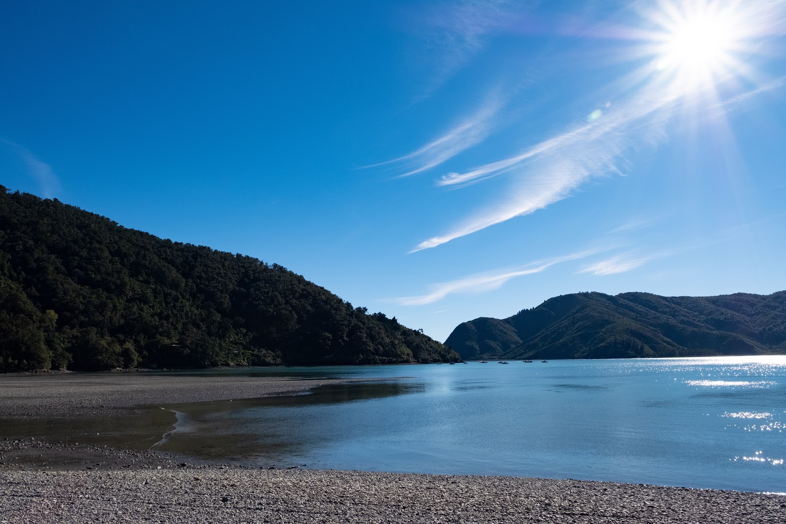 Okiwi Bay Beach'in fotoğrafı vahşi alan