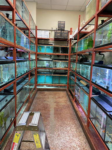 Pet Store «Animal Ark», reviews and photos, 175 S 500 E St, American Fork, UT 84003, USA