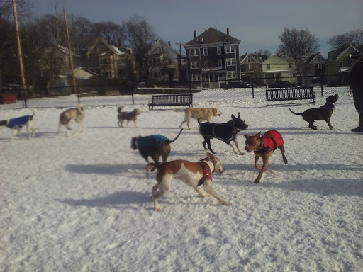 Park «Nunziato Field Dog Park», reviews and photos, Putnam St, Somerville, MA 02143, USA