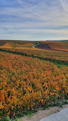 Point de Vue de Tauxières-Mutry à Val de Livre