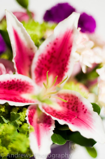 Florist «Hudson Flower Shop», reviews and photos, 222 Locust St, Hudson, WI 54016, USA