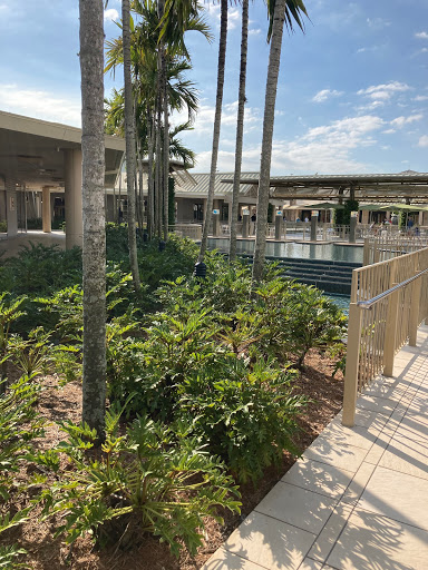 Computer Store «Apple Waterside Shops», reviews and photos, 5555 Tamiami Trail N, Naples, FL 34108, USA