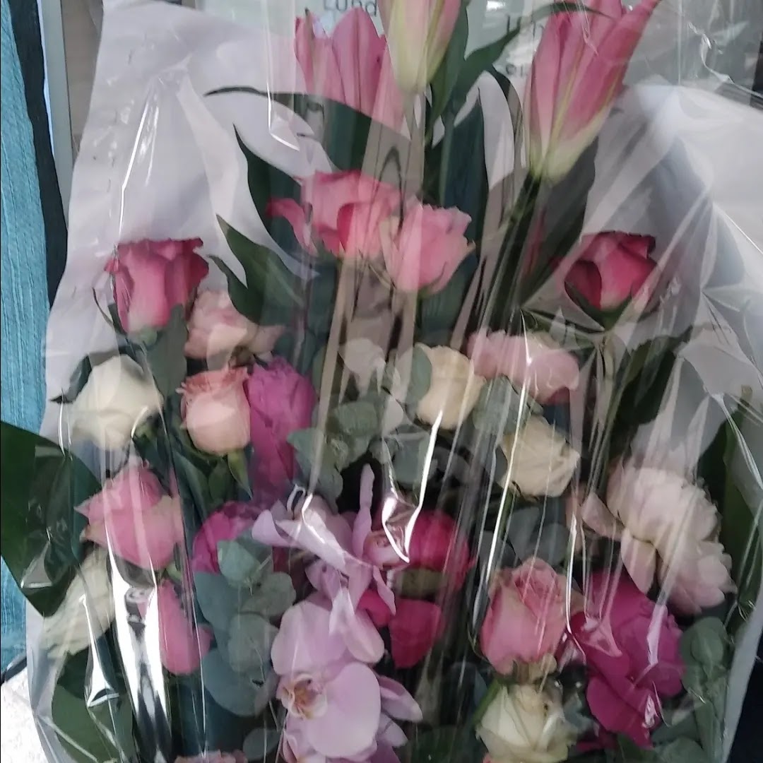 Photo n° 10 de l'avis de Fleur.e fait le 12/03/2023 à 08:12