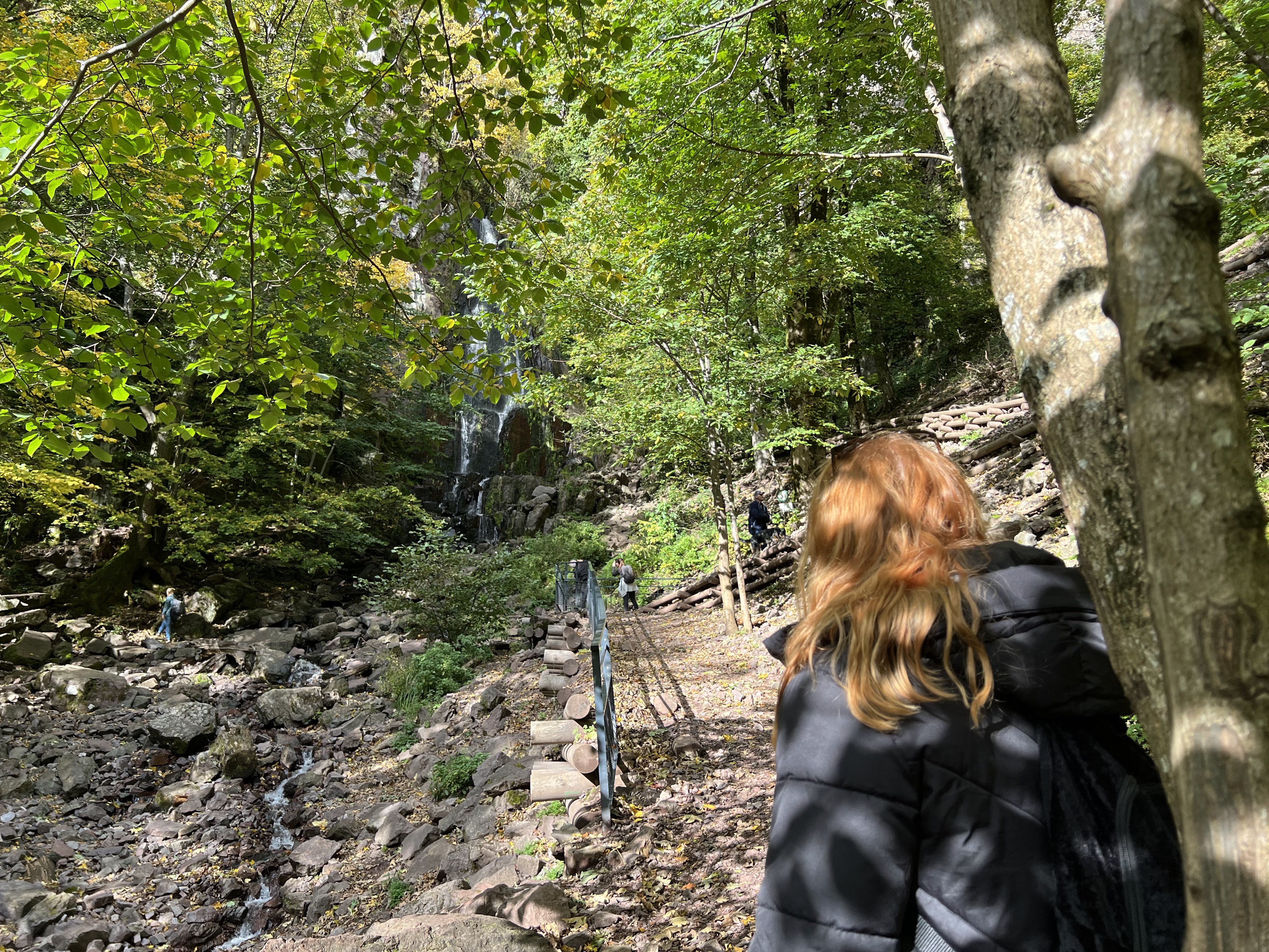 Photo n° 10 de l'avis de Ricardo.o fait le 23/10/2021 à 17:28