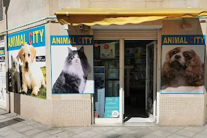 Animal City and Co image