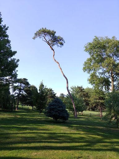 Public Golf Course «Elmwood 18 Hole Golf Course», reviews and photos, 6232 Pacific St, Omaha, NE 68106, USA