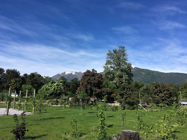 Frutteto pubblico del Patriziato di Ascona - Bellinzona