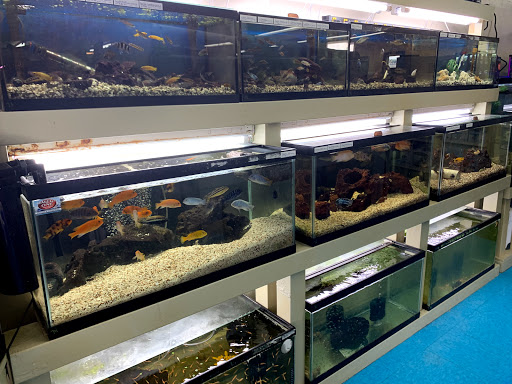 Pet Store «Southside Pet Shop», reviews and photos, 7031 Southside Dr, Louisville, KY 40214, USA