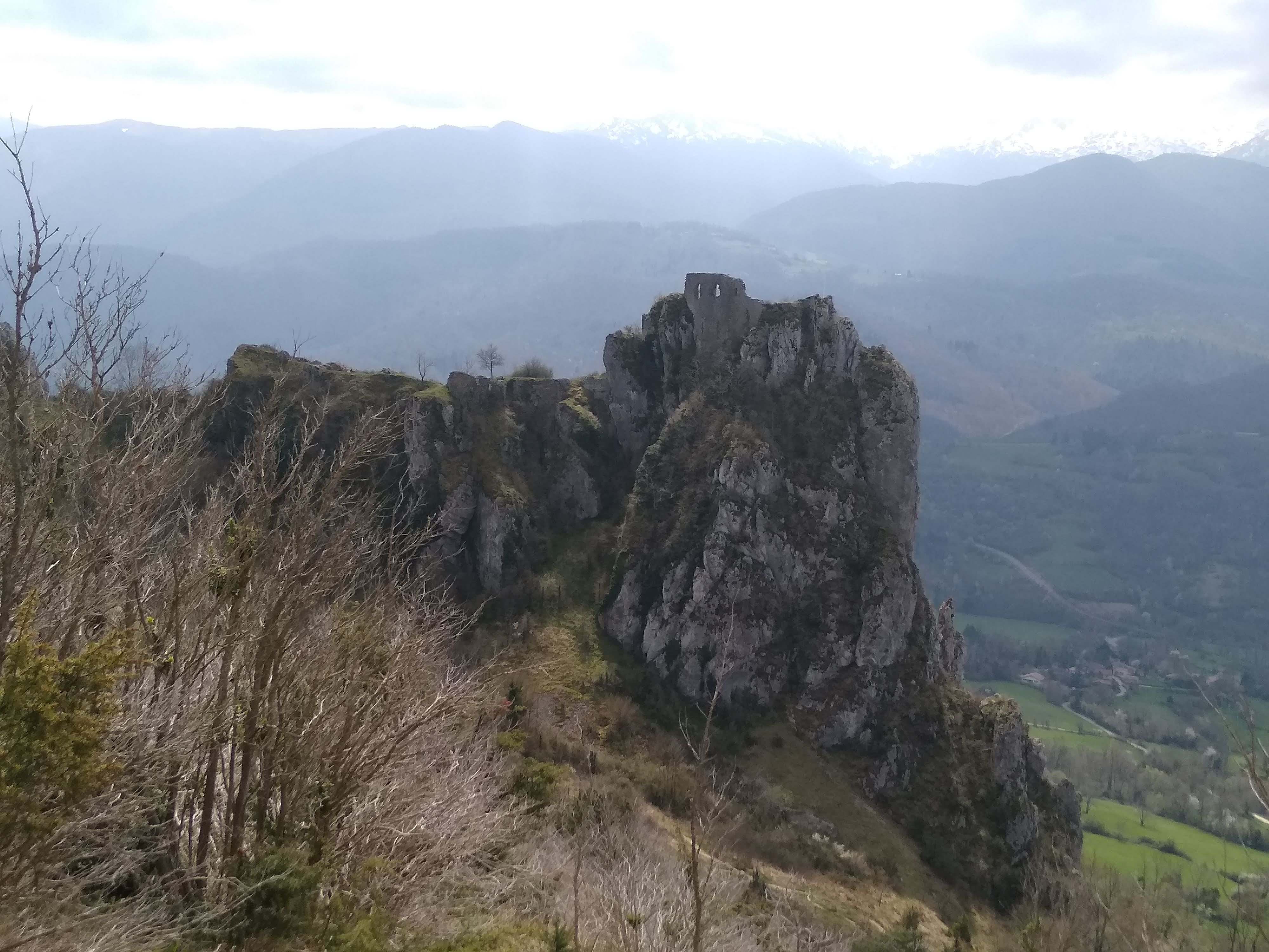 Photo n° 1 de l'avis de Thierry.o fait le 07/04/2021 à 19:35