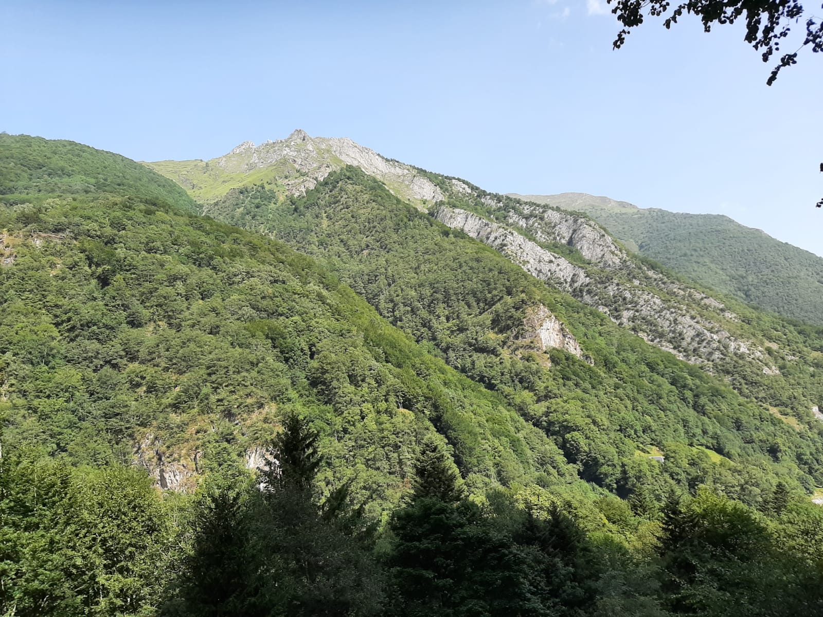 Photo n° 2 de l'avis de Stéphanie. fait le 14/08/2021 à 22:10