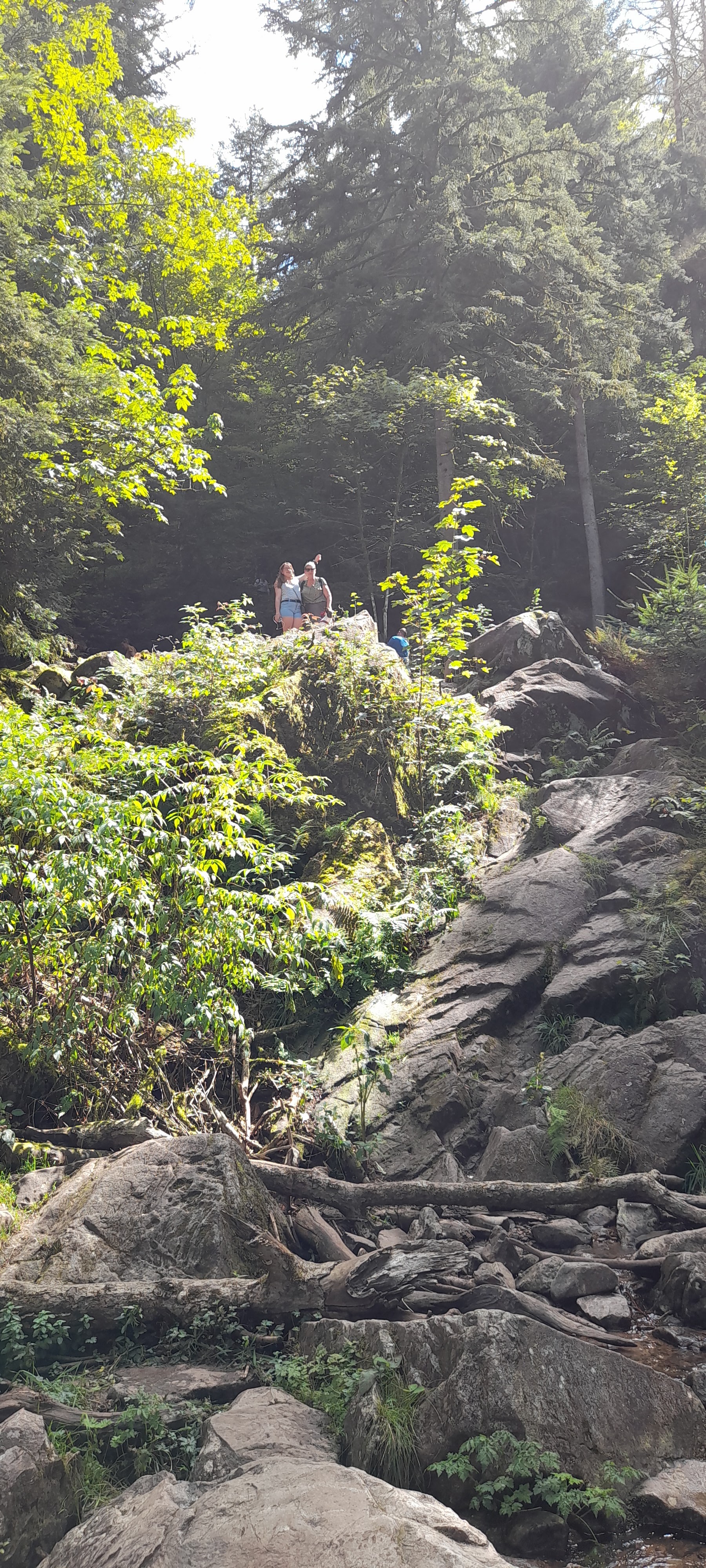 Photo n° 3 de l'avis de Philippe.e fait le 10/08/2021 à 15:47