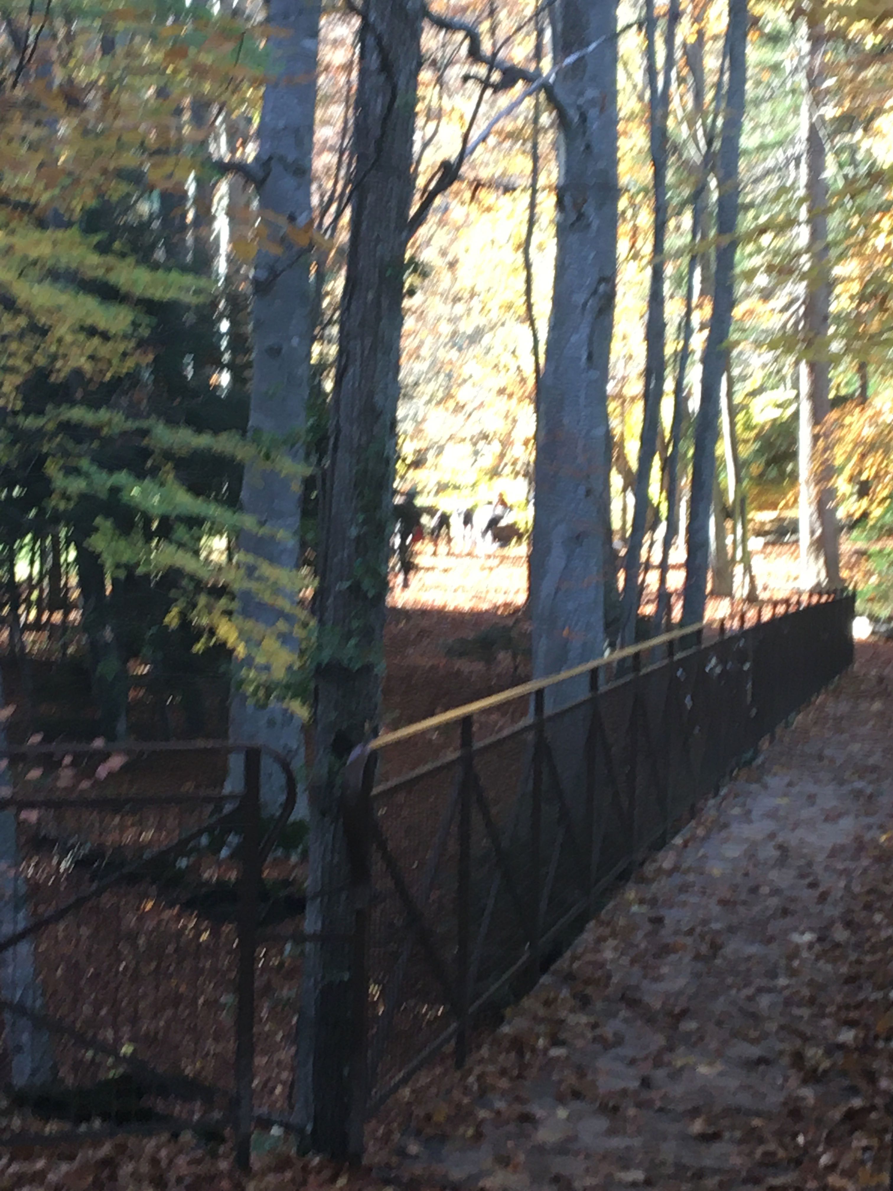 Photo n° 10 de l'avis de Jean-Paul.h fait le 03/11/2021 à 13:46