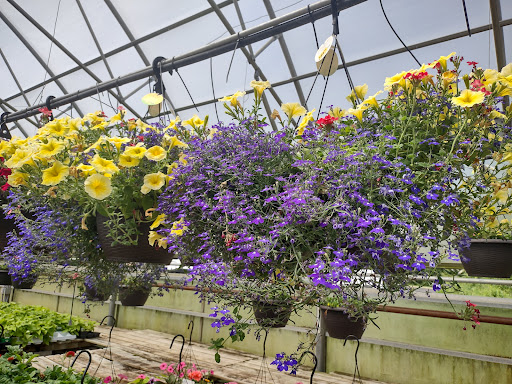 Greenhouse «Rose Floral & Greenhouse», reviews and photos, 14298 60th St N, Stillwater, MN 55082, USA