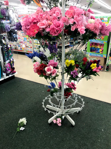 Dollar Store «Dollar Tree», reviews and photos, 11555 San Pablo Ave, El Cerrito, CA 94530, USA