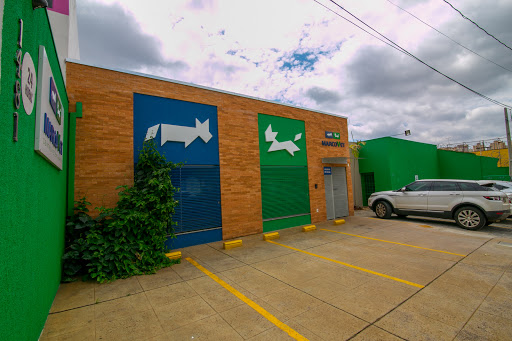 Marcovet - Veterinary Center em Ribeirão Preto - SP
